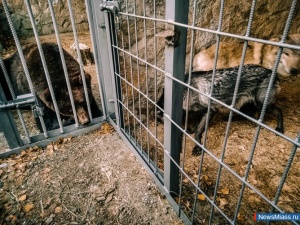 ��� ������� ���������� ���������