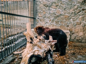 ��� ������� ���������� ���������