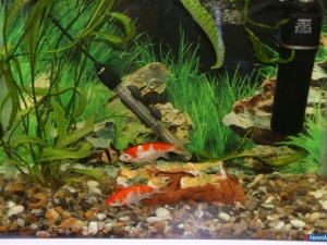 �������� ����� ������� �����