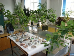 �������� ����� ������� �����