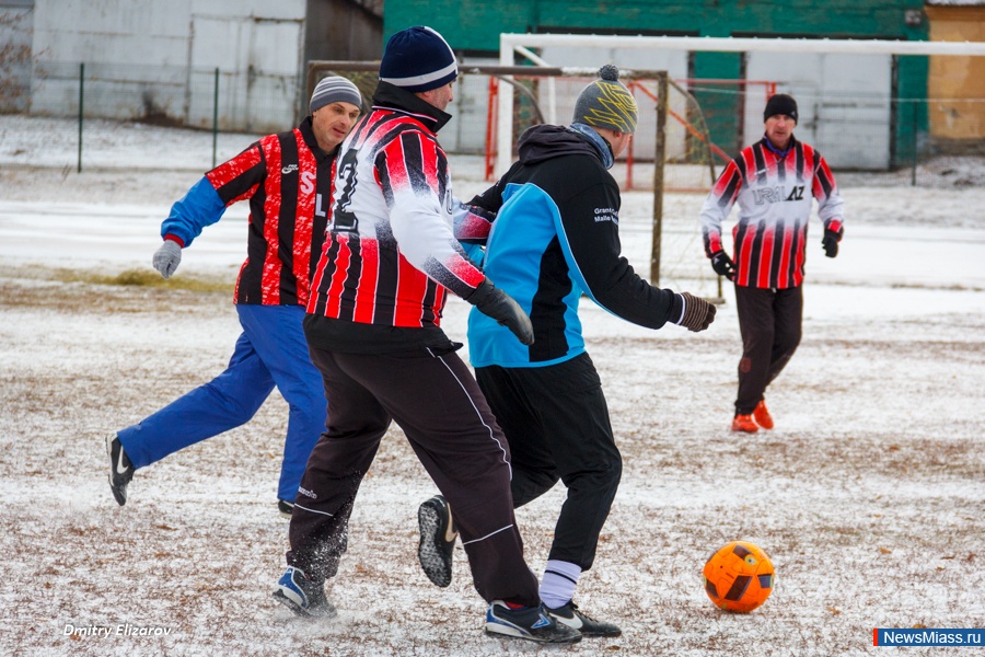 Игра в футбол зимой животные