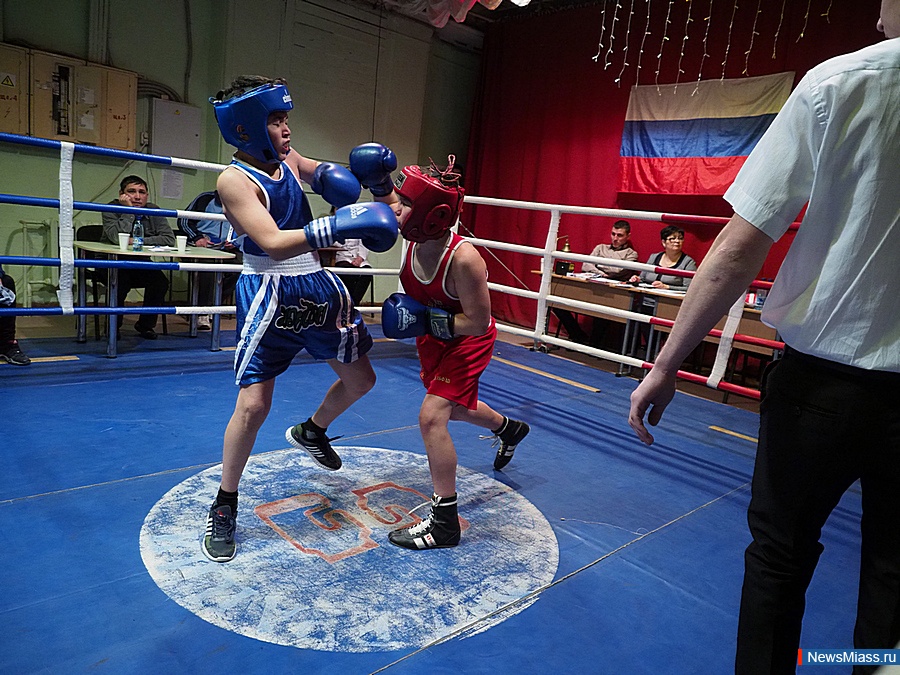 New boxing. Современный бокс. Анатолий Миасс бокс. Миасс бокс школа бокса. Новый бокс.