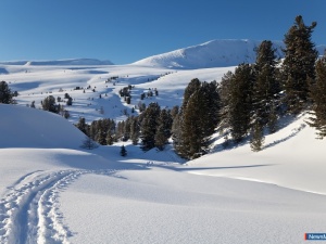 ������ �������� � ������