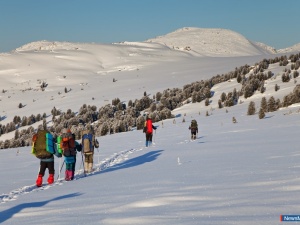 ������ �������� � ������