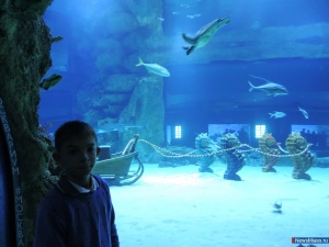 �������� �� ������� ���� ������