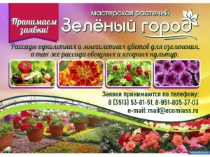 ����� �������� ������