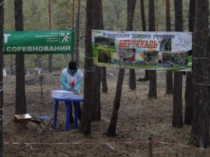 ���������� ������ � ��������� ��������������