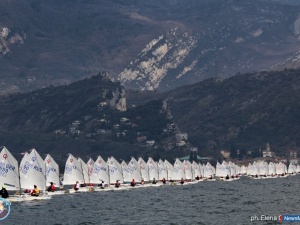 ������������ ������ ���������