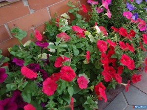 ����� � ����� ������!