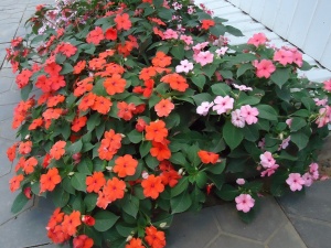 ����� � ����� ������!