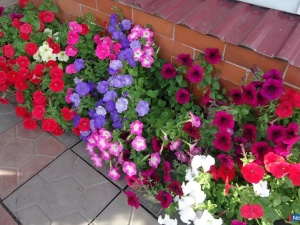 ������ ������������!