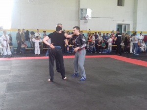 ������� ������ �������