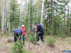 �������� �������