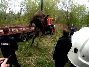 ����� �������� ������� ���� �����