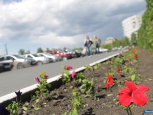 ����� ������������� �� ������