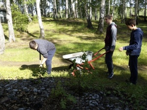 �������, �������, ���������