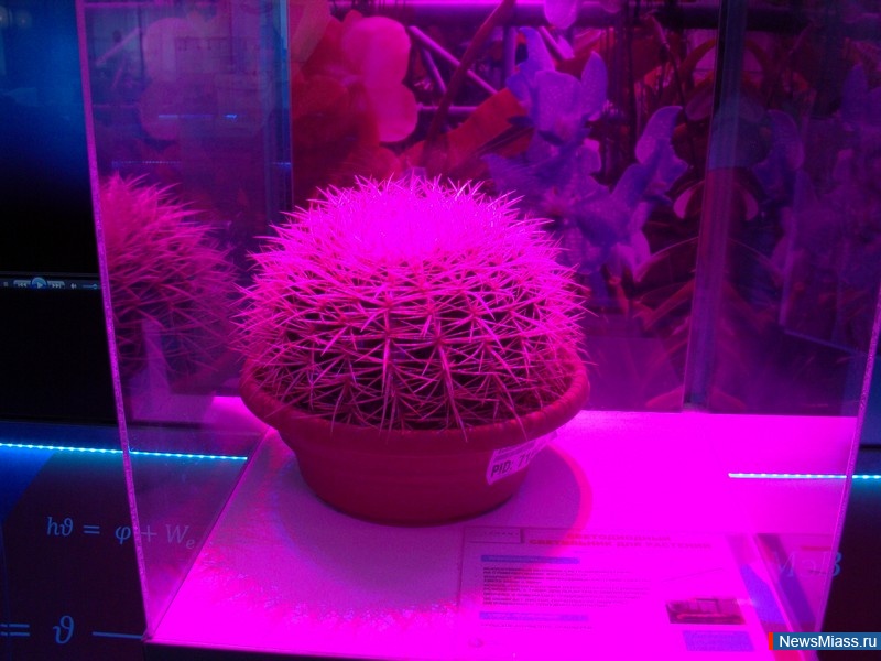 �� ������ ������� �� ��������������. � ������ ������� ���������� ����������� ����������-���������� ������ ��� "���".