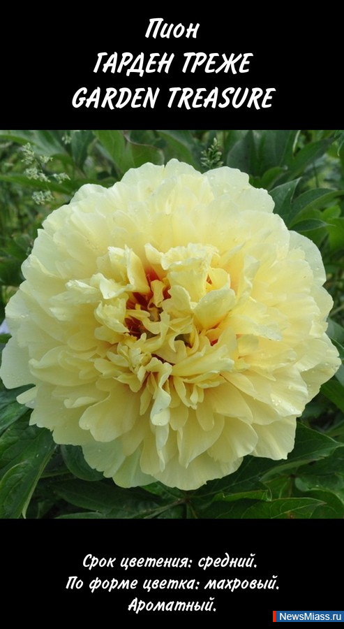 ��� �������, ������� � �����. ������� "������ � �������" ���������� ������� �� ������� � ��������� ���������