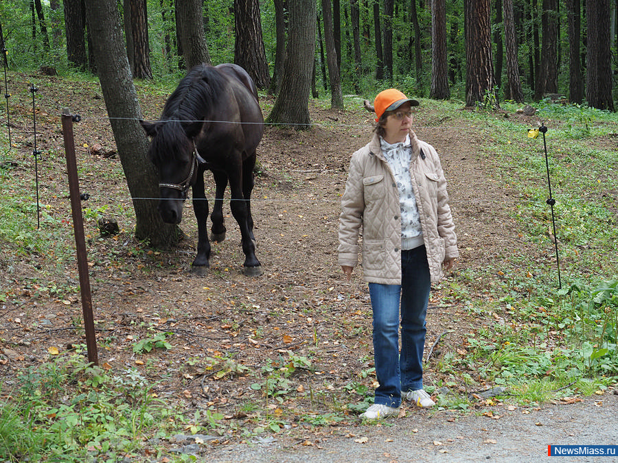 ������� ������. �������� �� �������� ���������� �������������� ���� "� ����� ������"