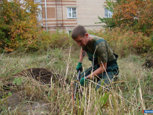 �����. ���������