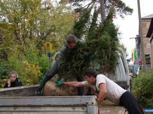 �����. ���������