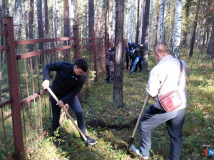 ����������� ������ � ��������