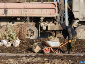 ����, ���, ������, ������� ����