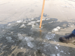 ��������� �����