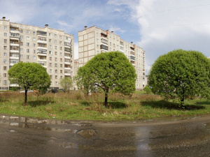 ��� ����� - ��� ��� ��