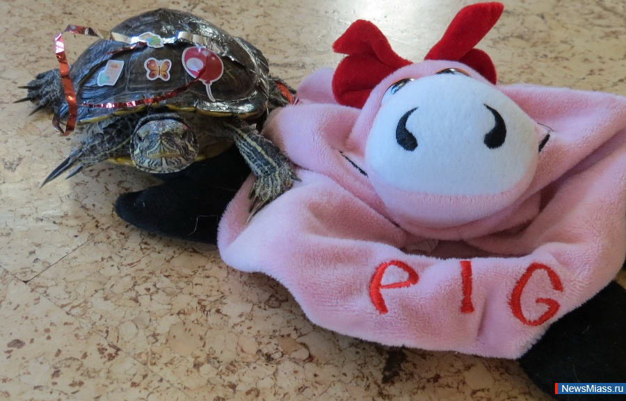 "    ".  .     "NewsMiass.ru"    ,      