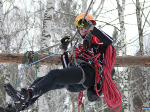 "����� �������" ����� � �������