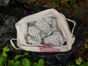 � ��������� ���� - 33 ����