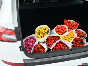 ��������� ������� ŠKODA