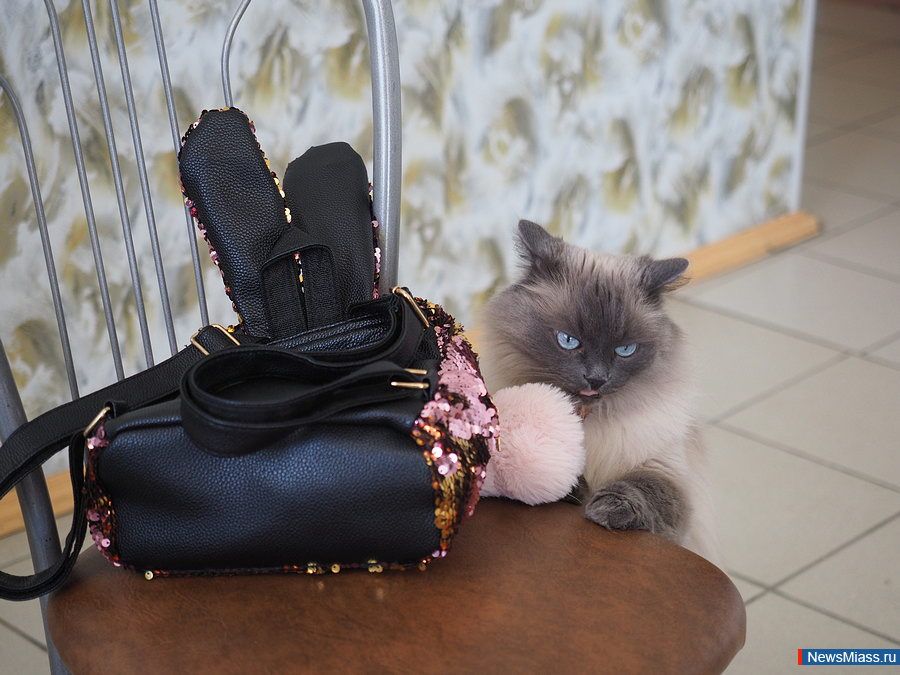 ��� ������������ � ��������. �������� ��������� �������� � ���������� NewsMiass.ru ������� ��������� ������-����� ��� ������ ����� � "���������� �����" �����