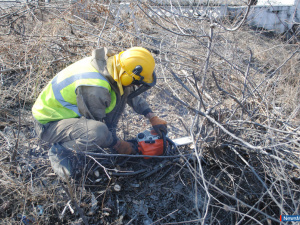 ������� ����� - �� ������� ������