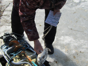 �������� �� ���������� ������