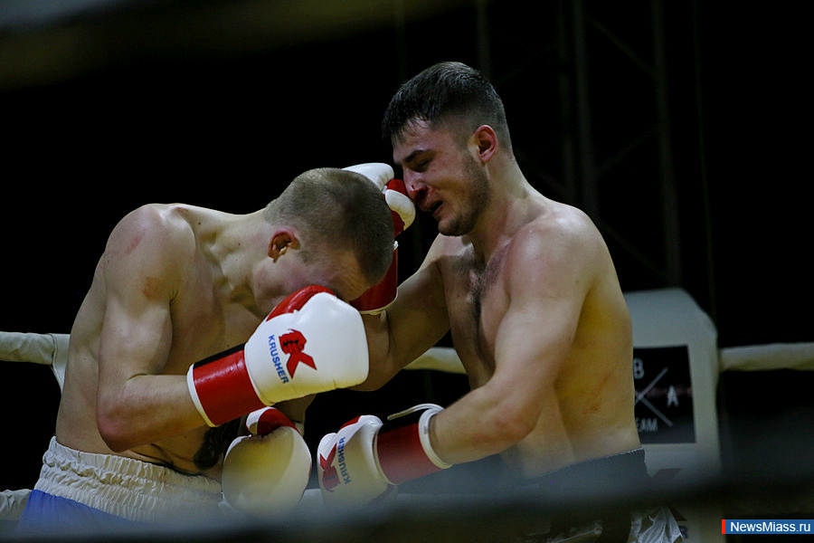 Боксеры были сильнее. Фотографии сильнейших боксеров Крыма.
