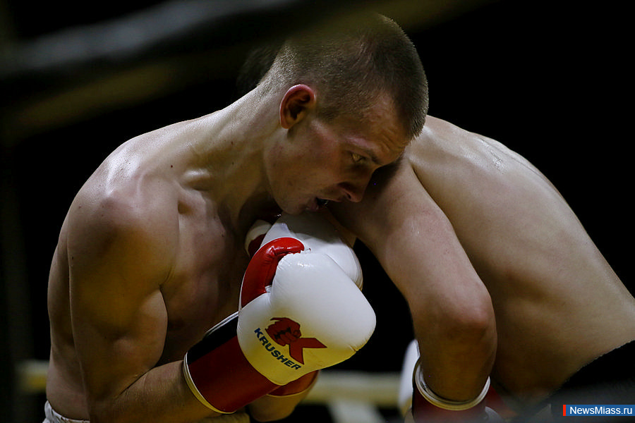 Боксеры были сильнее. Фотографии сильнейших боксеров Крыма.