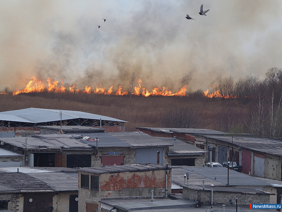 � �������� �������� ���� �����. � ������������ ��������� ������ ������� �������� 40 ����� ���������� ������ ����� �����