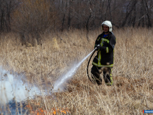 � �������� �������� ���� �����