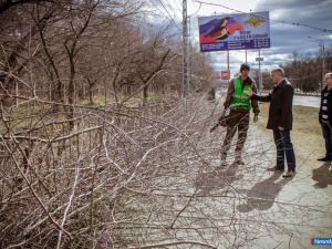 "���������� ��������� � �������"