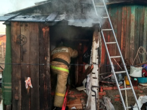 ���� ���� - 61 �����