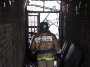 ���� ���� - 61 �����