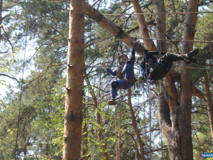 ���� �������� �� ������