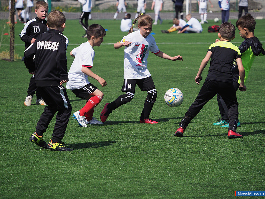   -   .        "-2019-"