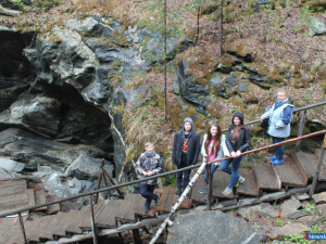 ������� ��������� �����������