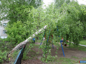 ������ ����� �� ������ ���������