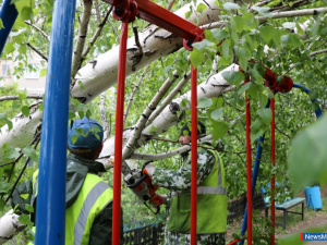 ������ ����� �� ������ ���������