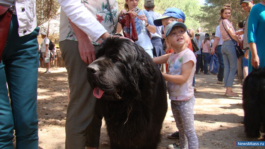 ����������� ����-���. ������ ������� ������� � ��������� ��������� � ����� ������������ ���������