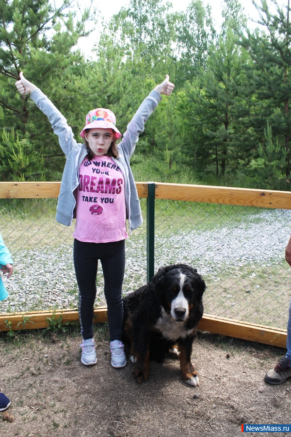 ���� ������������ ������. ��������� �� ��������� �������� ��������� �������� "�������������"